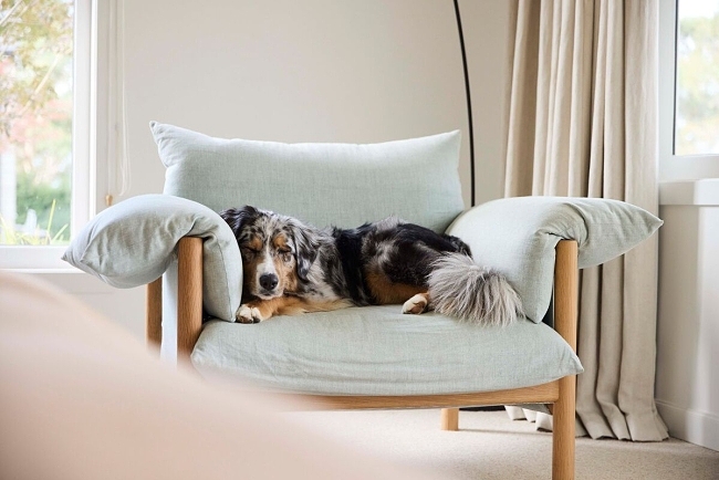 sarahlaird-359506-w1200-h800-q80-rz3-b75-f0