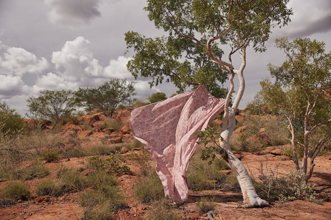 ADAIRS x Cungelella Art