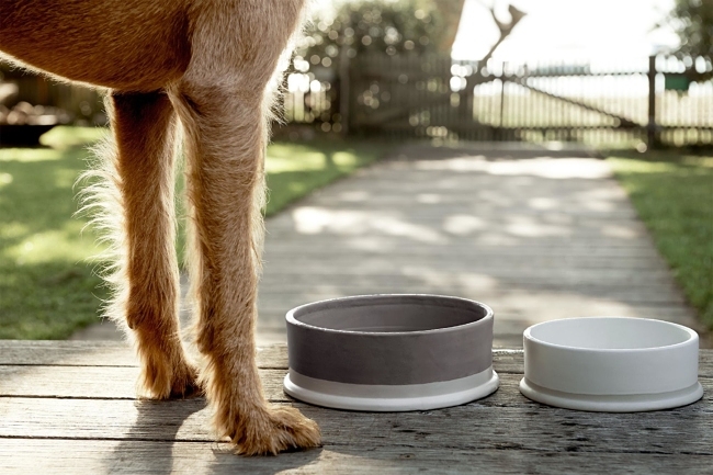 Mark Tuckey for Cotton On