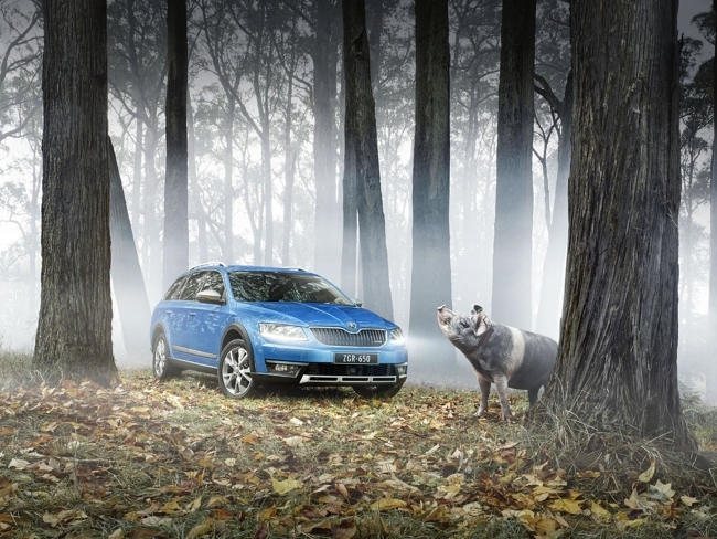 SKODA SCOUT BORN CURIOUS