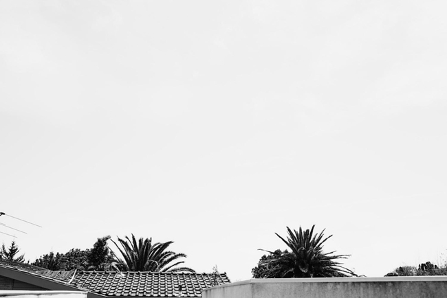 SN141123L_TransAm_016