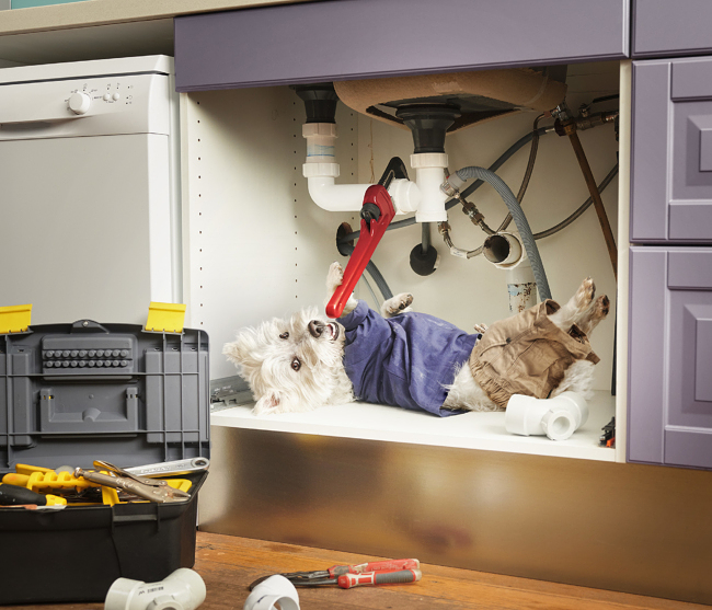 Home Timber & Hardware Calendar 2019