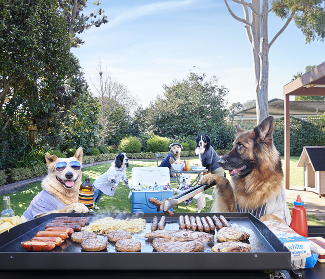 Home Timber & Hardware Calendar 2019