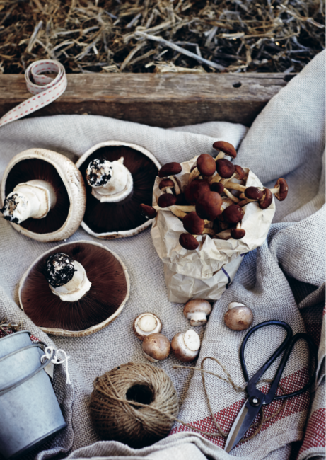 Screen Shot 2022-08-29 at 9.02.42 am