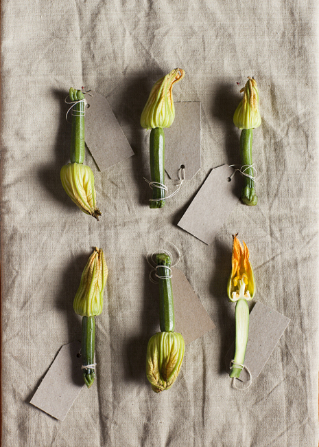 Zucchini-1