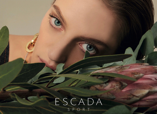 Escada